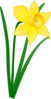 Single Daffodil Clip Art